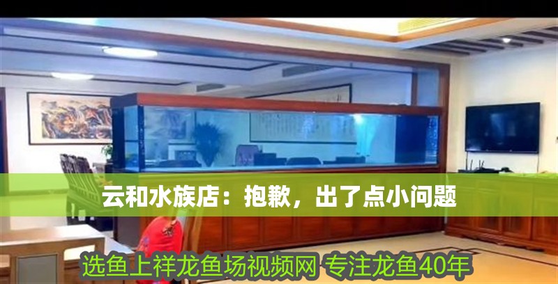云和水族店：抱歉，出了點(diǎn)小問題 云和水族店：抱歉，出了點(diǎn)小問題 全國水族館企業(yè)名錄