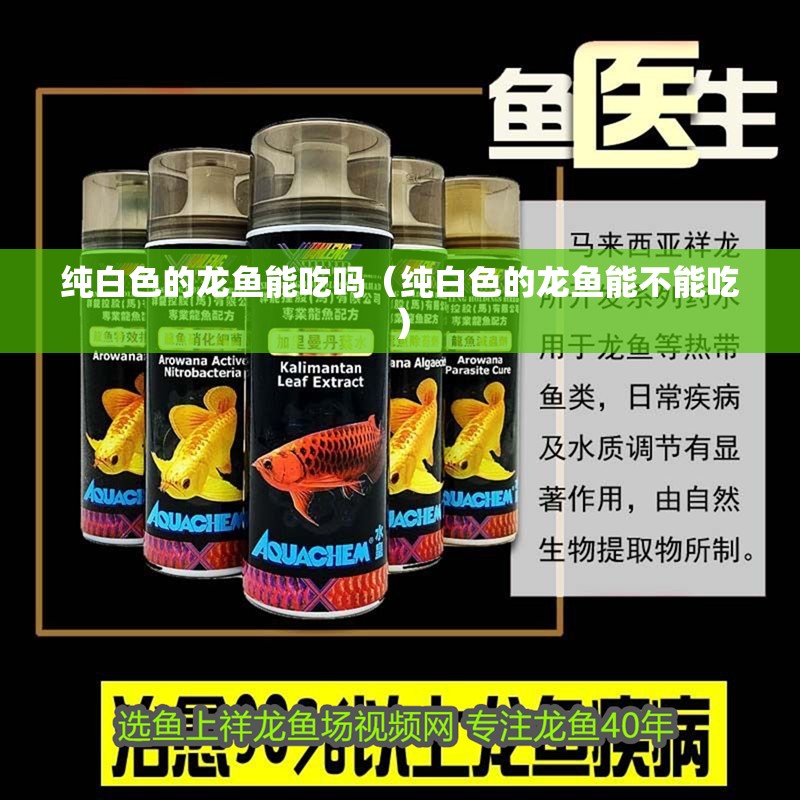 純白色的龍魚能吃嗎（純白色的龍魚能不能吃）
