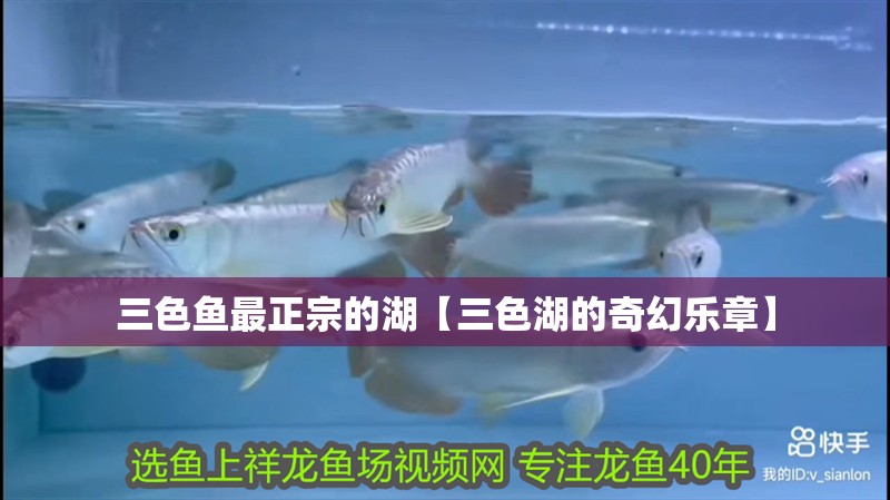 三色魚最正宗的湖【三色湖的奇幻樂章】