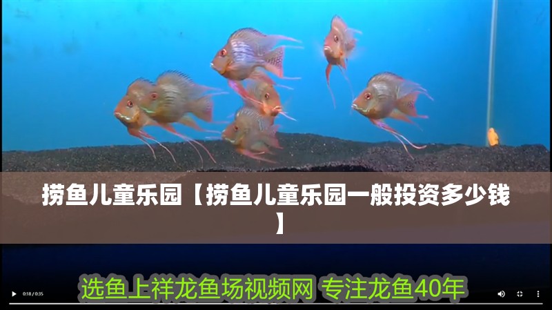 撈魚兒童樂園【撈魚兒童樂園一般投資多少錢】