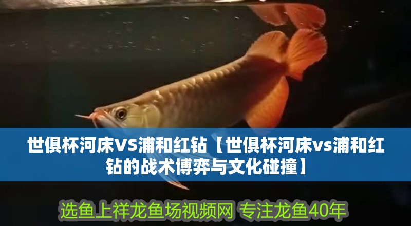 世俱杯河床VS浦和紅鉆【世俱杯河床vs浦和紅鉆的戰術博弈與文化碰撞】