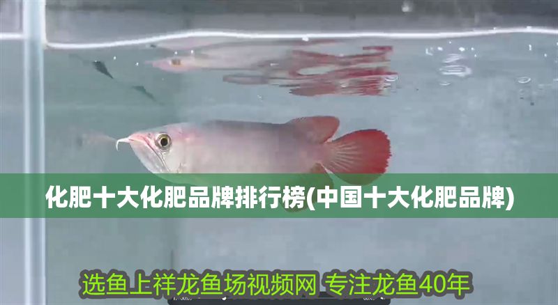 化肥十大化肥品牌排行榜(中國十大化肥品牌)