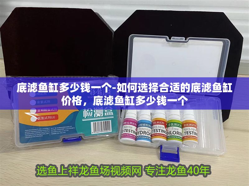 底濾魚缸多少錢一個-如何選擇合適的底濾魚缸價格，底濾魚缸多少錢一個