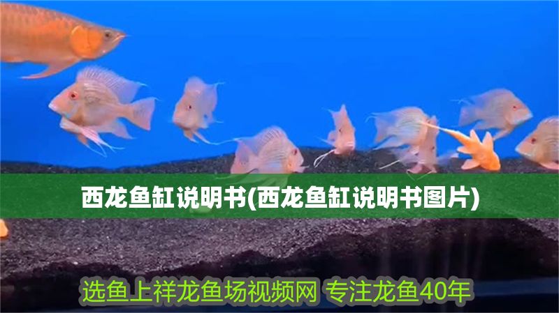 西龍魚缸說明書(西龍魚缸說明書圖片)