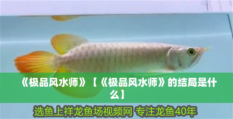 《極品風(fēng)水師》【《極品風(fēng)水師》的結(jié)局是什么】 龍魚論壇 《極品風(fēng)水師》【《極品風(fēng)水師》的結(jié)局是什么】 《極品風(fēng)水師》【《極品風(fēng)水師》的結(jié)局是什么】 龍魚論壇