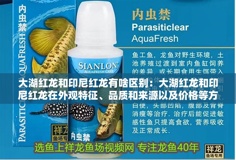 大湖紅龍和印尼紅龍有啥區(qū)別：大湖紅龍和印尼紅龍?jiān)谕庥^特征、品質(zhì)和來源以及價(jià)格等方面都有一定的區(qū)別