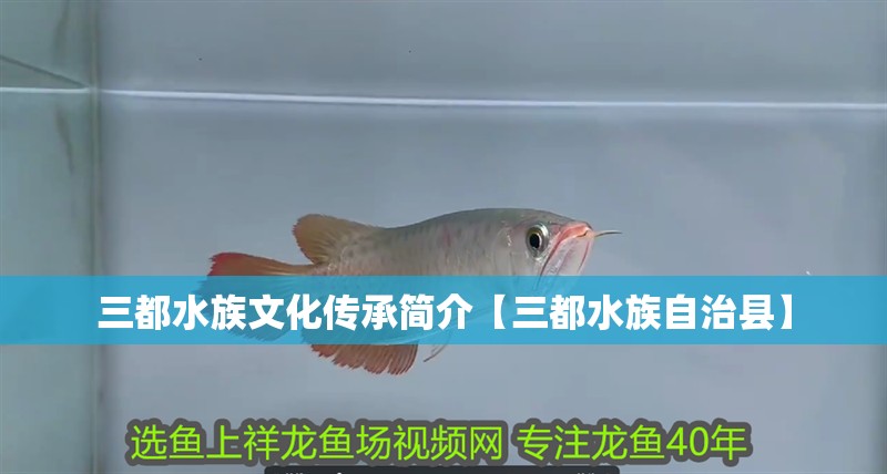 三都水族文化傳承簡介【三都水族自治縣】