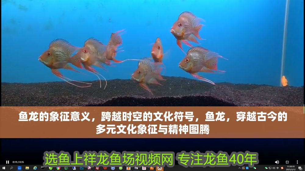 魚龍的象征意義，跨越時空的文化符號，魚龍，穿越古今的多元文化象征與精神圖騰