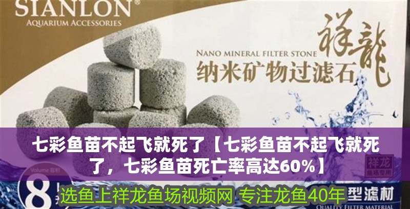 七彩魚苗不起飛就死了【七彩魚苗不起飛就死了，七彩魚苗死亡率高達60%】