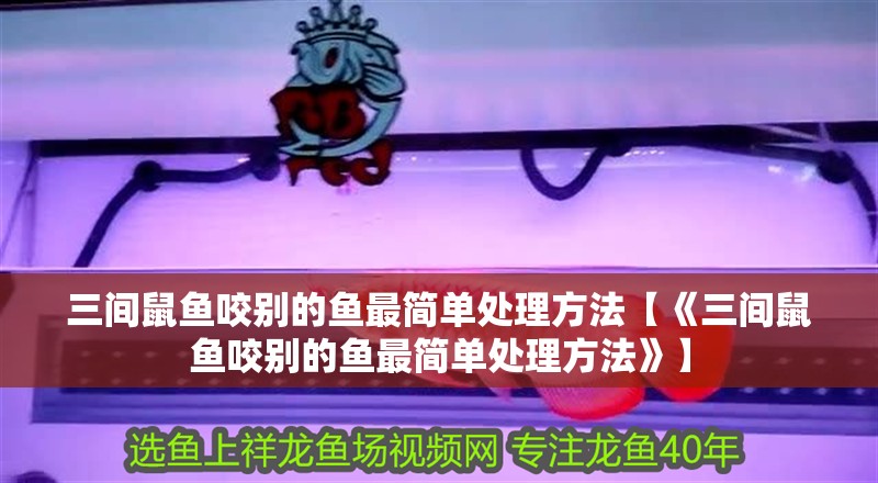 三間鼠魚咬別的魚最簡單處理方法【《三間鼠魚咬別的魚最簡單處理方法》】 三間鼠魚咬別的魚最簡單處理方法【《三間鼠魚咬別的魚最簡單處理方法》】 龍魚論壇