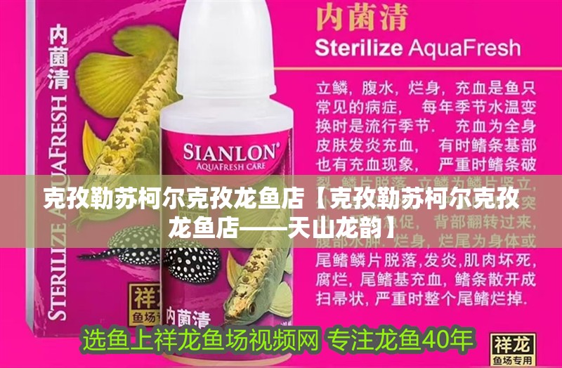 克孜勒蘇柯爾克孜龍魚店【克孜勒蘇柯爾克孜龍魚店——天山龍韻】