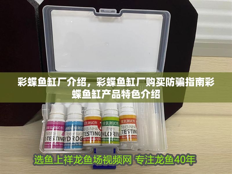 彩蝶魚缸廠介紹，彩蝶魚缸廠購買防騙指南彩蝶魚缸產品特色介紹