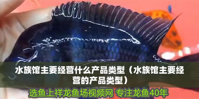 水族館主要經(jīng)營(yíng)什么產(chǎn)品類型（水族館主要經(jīng)營(yíng)的產(chǎn)品類型）