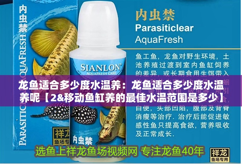 龍魚適合多少度水溫養(yǎng)：龍魚適合多少度水溫養(yǎng)呢【2&移動(dòng)魚缸養(yǎng)的最佳水溫范圍是多少】 龍魚適合多少度水溫養(yǎng)：龍魚適合多少度水溫養(yǎng)呢【2&移動(dòng)魚缸養(yǎng)的最佳水溫范圍是多少】 水族問答