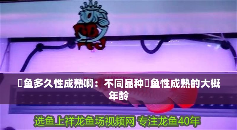 魟魚多久性成熟啊:不同品種魟魚性成熟的大概年齡 魟魚百科 第1張 魟魚多久性成熟啊:不同品種魟魚性成熟的大概年齡 魟魚多久性成熟啊:不同品種魟魚性成熟的大概年齡 魟魚百科 第1張