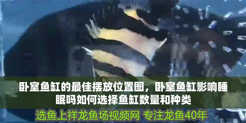 臥室魚缸的最佳擺放位置圖，臥室魚缸影響睡眠嗎如何選擇魚缸數量和種類