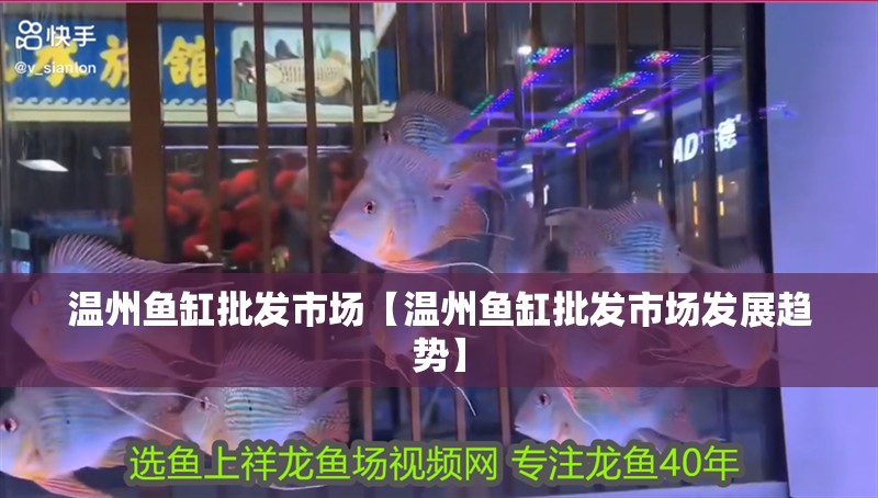 溫州魚缸批發市場【溫州魚缸批發市場發展趨勢】
