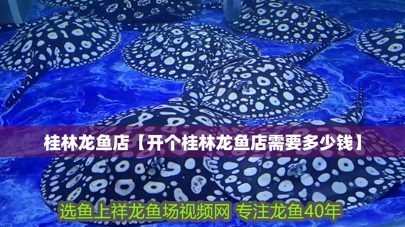 <strong><mark>桂林</mark></strong>龍魚店【開個<strong><mark>桂林</mark></strong>龍魚店需要多少錢】