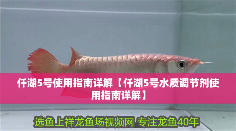 仟湖5號使用指南詳解【仟湖5號水質(zhì)調(diào)節(jié)劑使用指南詳解】 仟湖5號使用指南詳解【仟湖5號水質(zhì)調(diào)節(jié)劑使用指南詳解】 龍魚論壇