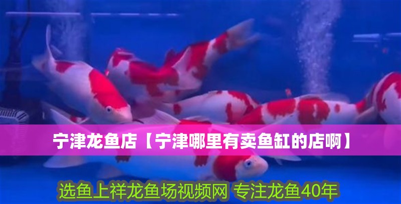 寧津龍魚店【寧津哪里有賣魚缸的店啊】 全國水族館企業(yè)名錄 寧津龍魚店【寧津哪里有賣魚缸的店啊】 寧津龍魚店【寧津哪里有賣魚缸的店啊】 全國水族館企業(yè)名錄