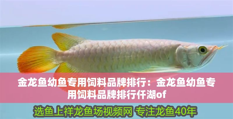 金龍魚幼魚專用飼料品牌排行：金龍魚幼魚專用飼料品牌排行仟湖of