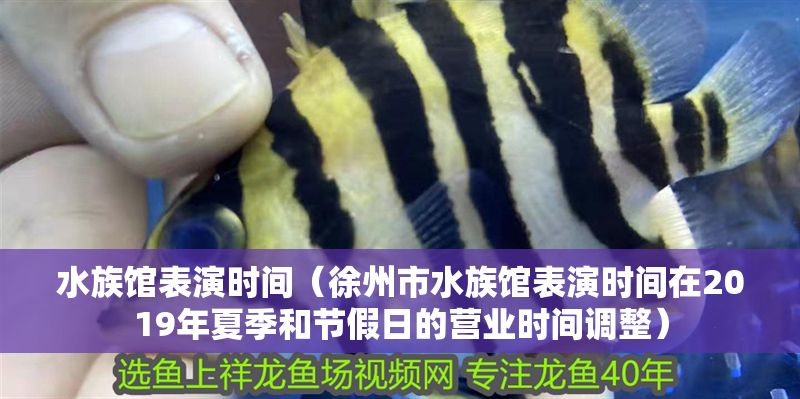 水族館表演時間（徐州市水族館表演時間在2019年夏季和節假日的營業時間調整）