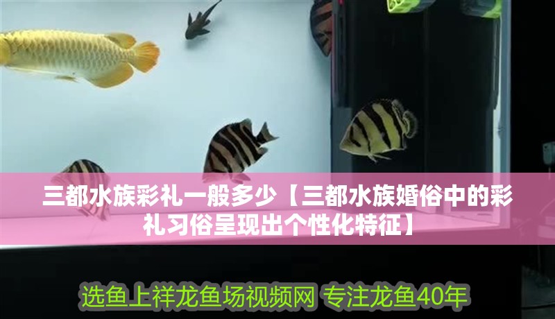 三都水族彩禮一般多少【三都水族婚俗中的彩禮習(xí)俗呈現(xiàn)出個(gè)性化特征】