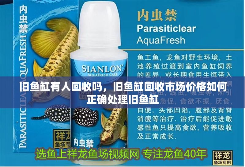 舊魚缸有人回收嗎，舊魚缸回收市場價格如何正確處理舊魚缸