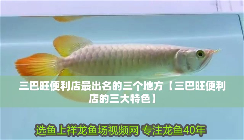 三巴旺便利店最出名的三個地方【三巴旺便利店的三大特色】