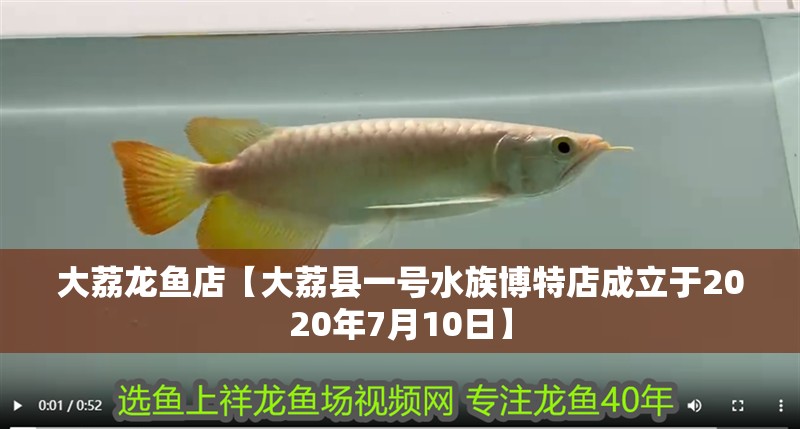 大荔龍魚店【大荔縣一號水族博特店成立于2020年7月10日】