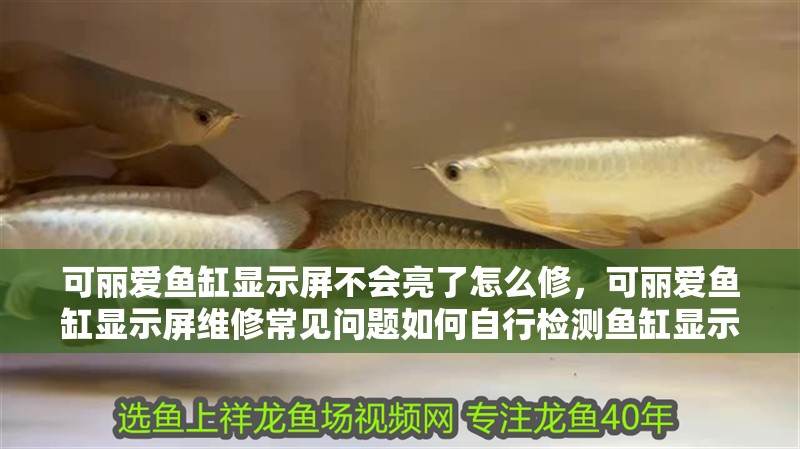 可麗愛魚缸顯示屏不會亮了怎么修，可麗愛魚缸顯示屏維修常見問題如何自行檢測魚缸顯示屏清潔技巧 可麗愛魚缸顯示屏不會亮了怎么修，可麗愛魚缸顯示屏維修常見問題如何自行檢測魚缸顯示屏清潔技巧 魚缸百科