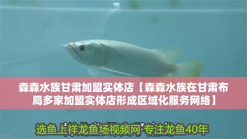 森森水族甘肅加盟實體店【森森水族在甘肅布局多家加盟實體店形成區域化服務網絡】
