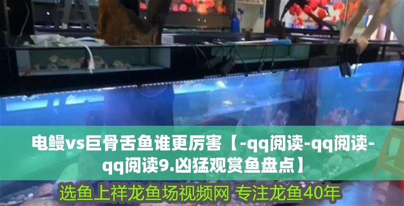 電鰻vs巨骨舌魚誰(shuí)更厲害【-qq閱讀-qq閱讀-qq閱讀9.兇猛觀賞魚盤點(diǎn)】