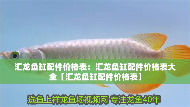 匯龍魚缸配件價格表：匯龍魚缸配件價格表大全【匯龍魚缸配件價格表】