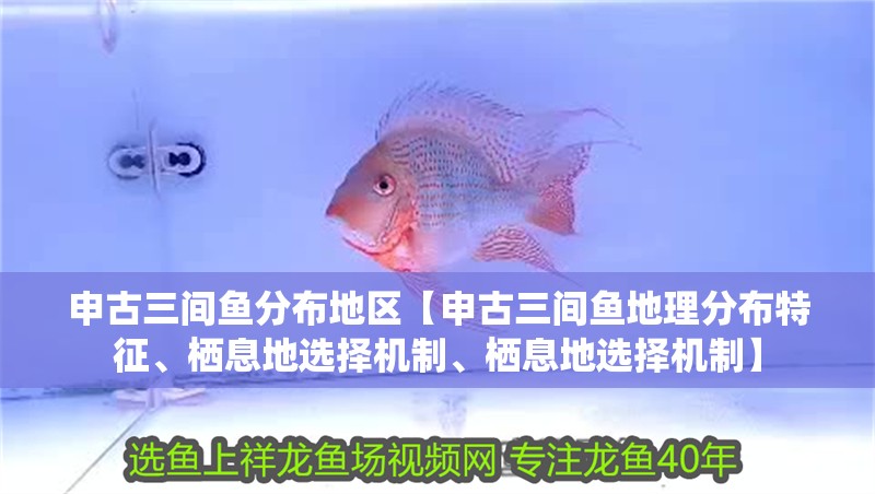 申古三間魚分布地區【申古三間魚地理分布特征、棲息地選擇機制、棲息地選擇機制】 申古三間魚分布地區【申古三間魚地理分布特征、棲息地選擇機制、棲息地選擇機制】 龍魚論壇