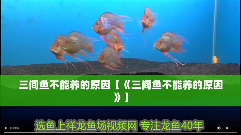 三間魚不能養的原因【《三間魚不能養的原因》】