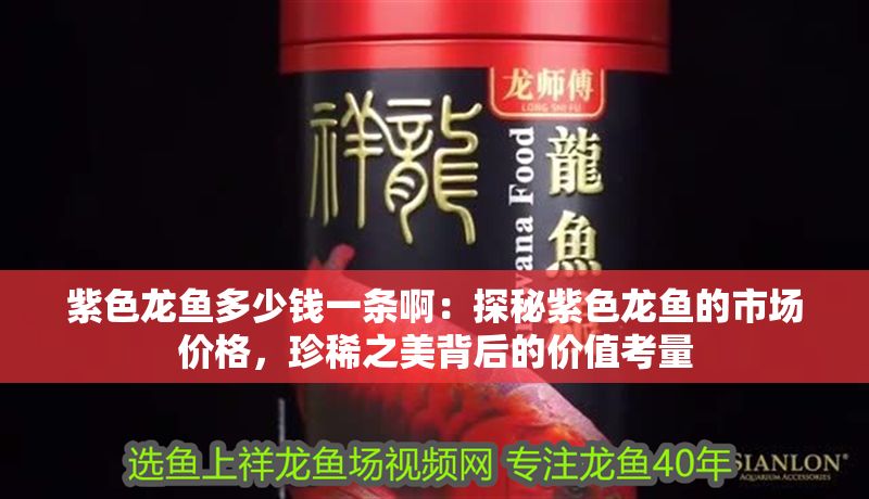 紫色龍魚多少錢一條啊：探秘紫色龍魚的市場價格，珍稀之美背后的價值考量