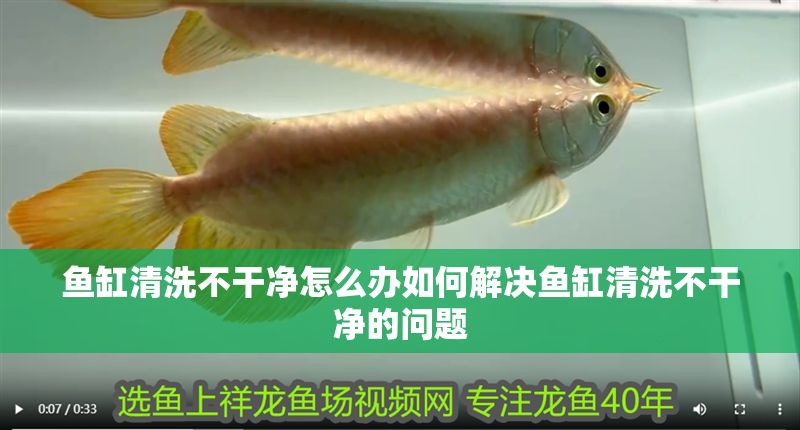 魚缸清洗不干凈怎么辦如何解決魚缸清洗不干凈的問題
