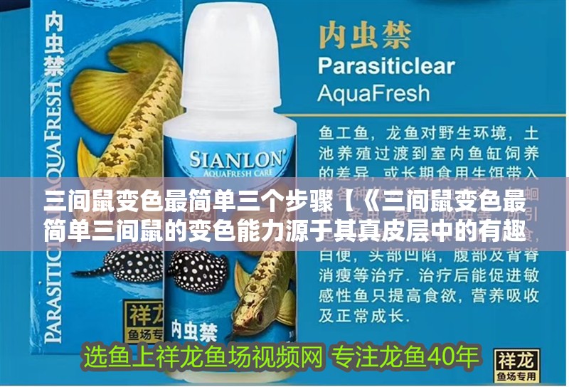 三間鼠變色最簡(jiǎn)單三個(gè)步驟【《三間鼠變色最簡(jiǎn)單三間鼠的變色能力源于其真皮層中的有趣現(xiàn)象】