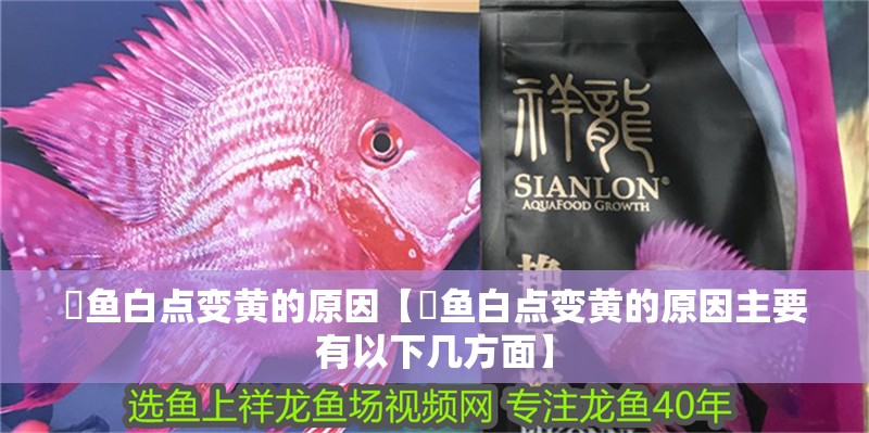 魟魚白點變黃的原因【魟魚白點變黃的原因主要有以下幾方面】