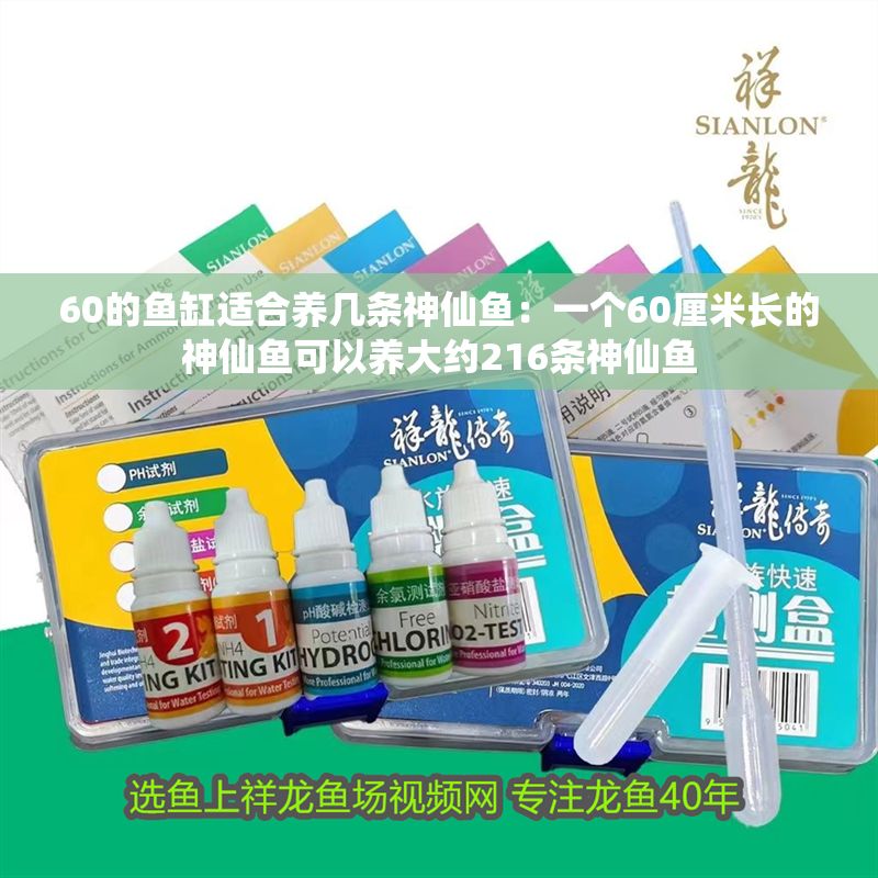 60的魚缸適合養幾條神仙魚：一個60厘米長的神仙魚可以養大約216條神仙魚