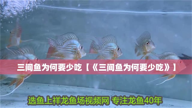 三間魚為何要少吃【《三間魚為何要少吃》】
