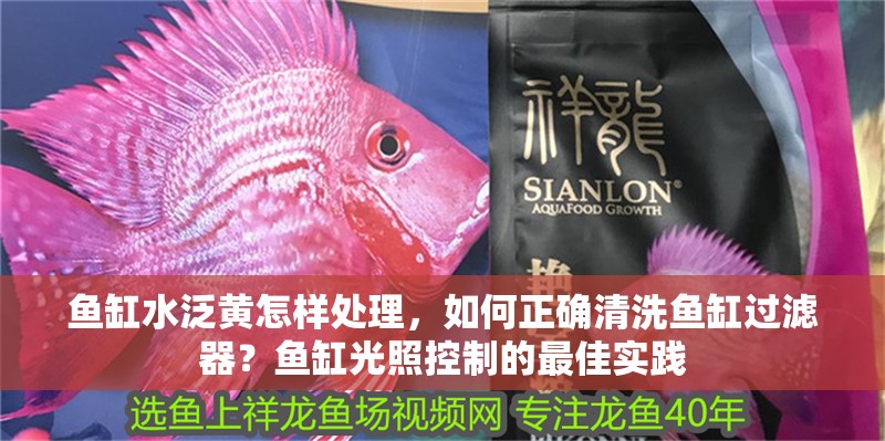 魚缸水泛黃怎樣處理，如何正確清洗魚缸過濾器？魚缸光照控制的最佳實踐