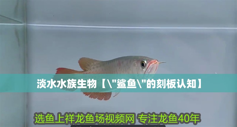 淡水水族生物【\