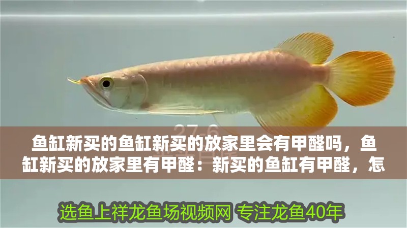 魚缸新買的魚缸新買的放家里會有甲醛嗎，魚缸新買的放家里有甲醛：新買的魚缸有甲醛，怎么辦？