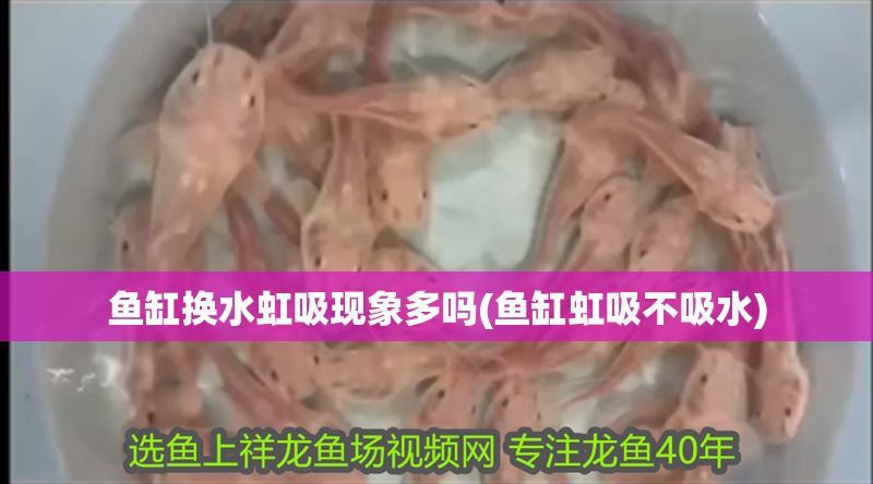 魚缸換水虹吸現(xiàn)象多嗎(魚缸虹吸不吸水)