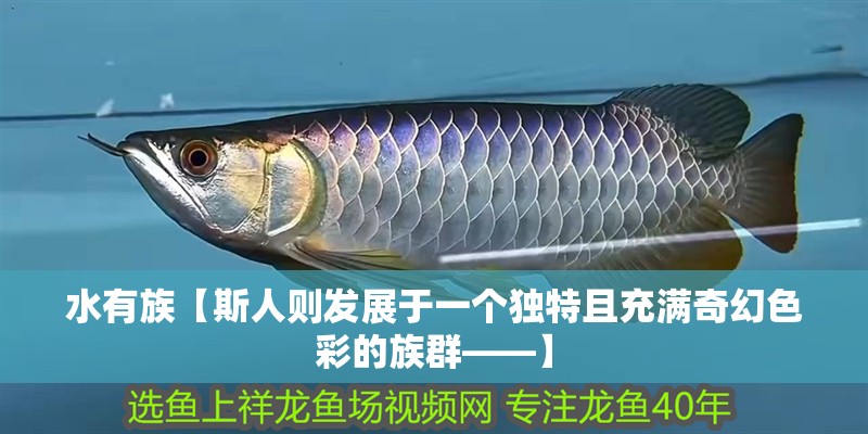 水有族【斯人則發(fā)展于一個獨特且充滿奇幻色彩的族群——】