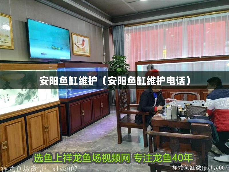 安陽魚缸維護（安陽魚缸維護電話）