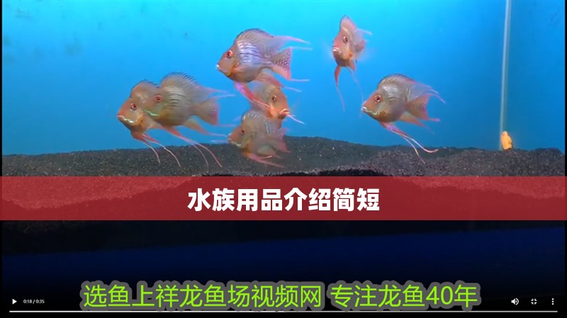水族用品介紹簡短