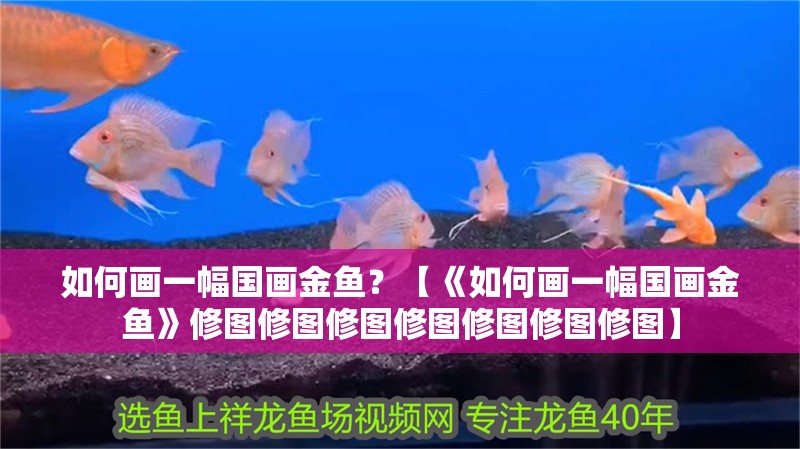 如何畫一幅國畫金魚？【《如何畫一幅國畫金魚》修圖修圖修圖修圖修圖修圖修圖】